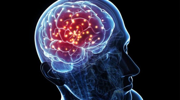 cerebro-luces